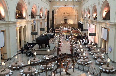 Chicago Field Museum